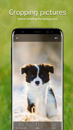 Screenshot of Puppy Wallpapers 4K