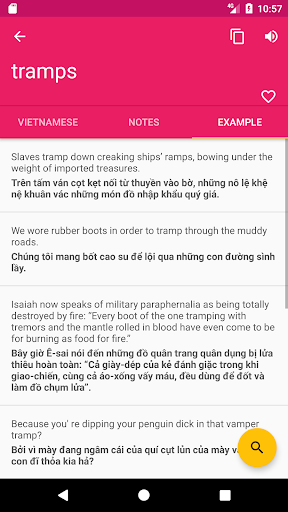 Vietnamese English Dictionary Screen 3