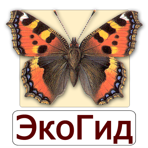ЭкоГид: Дневные бабочки تنزيل على نظام Windows