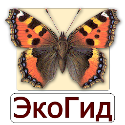 Icon image EcoGuide: Russian Butterflies