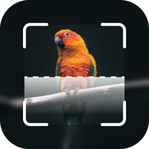 Bird Identifier: Bird Watching Download on Windows
