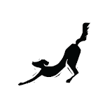 Black Dog Yoga icon