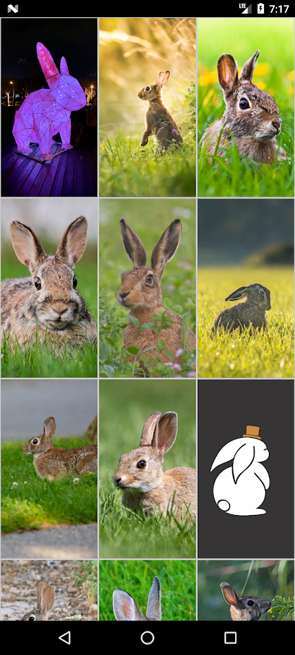 #6. Rabbit and Hare Wallpapers (Android) By: Infinity