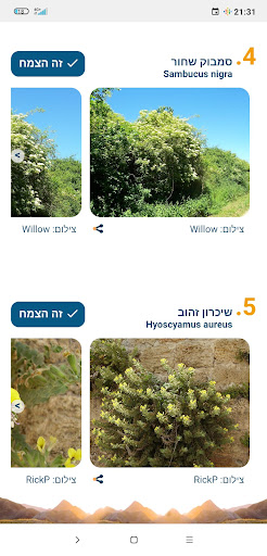 אנציקלופרח Screen 2