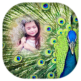 Peacock Feathers Photo Frame icon