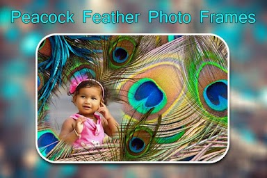 Peacock Feather Photo Frames