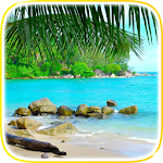 Cover Image of Unduh Tropical Beach Video Wallpaper  APK