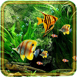 Aquarium Fish 2016 icon