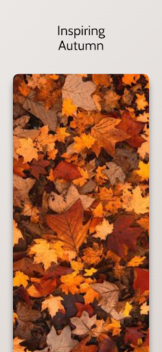 Android application Beautiful Autumn Wallpaper HD screenshort