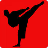 Learn Karate icon