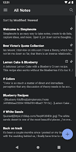 Simplenote for PC 2