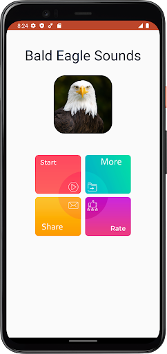 Bald Eagle Sounds Screen 2