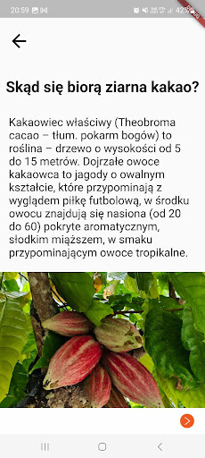 Beskid Chocolate Screen 3