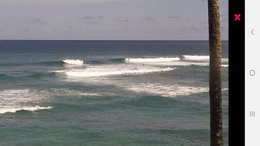 Watch Hawaii Surf Beach