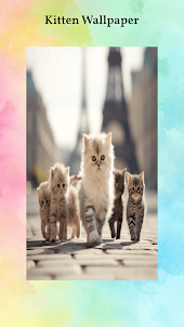 Cute Kitten Wallpapers