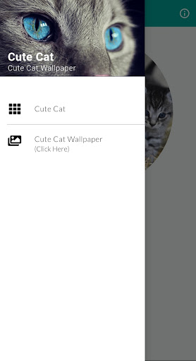 Android application Cute Cat Wallpaper screenshort