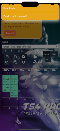 TS4 Pro Screen 2