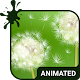Dandelion Animated Keyboard Descarga en Windows