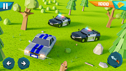 Crazy Cop: Police Car Chase