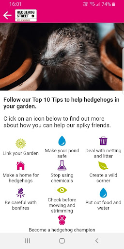 Hedgehog Street Screen 3