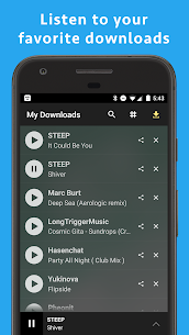MP3 Music Download Hunter For PC installation