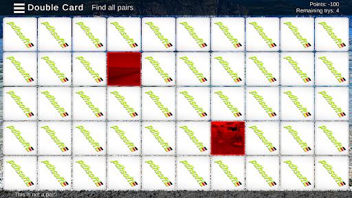 Double Card 3 - Shareware Screen 2