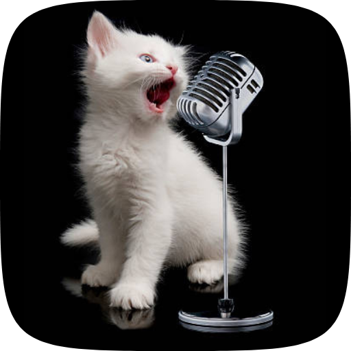 Sounds Cats logo