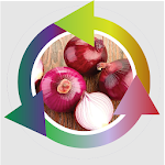 Cover Image of Tải xuống Red Onion Farmers Succeed  APK