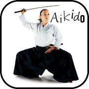Learn Aikido fast. Aikido course at home