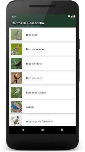Android application Cantos Pássaros - Aves Brasil screenshort