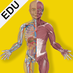 Cover Image of Télécharger Inside The Human Body by Making Sense Games  APK