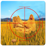 Chicken Vs Racer icon