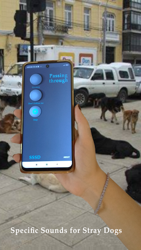Specific Sounds for Stray Dogs Screen 3