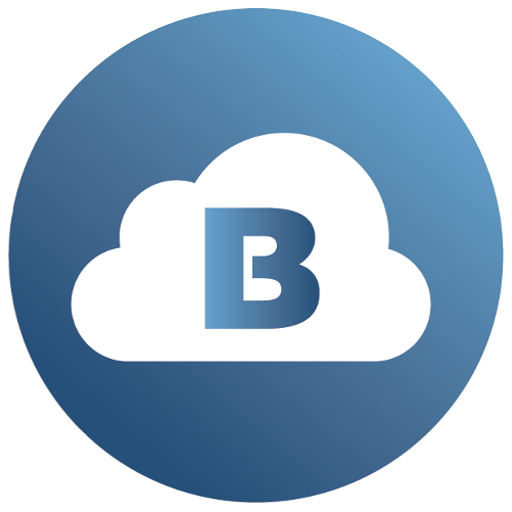 Brinks Cloud logo