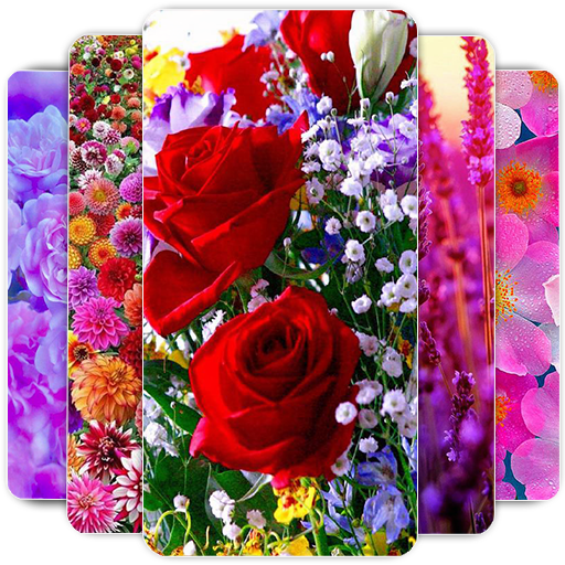 Flowers Wallpaper – Apps on Google Play