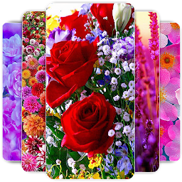 Icon image Flowers Wallpaper