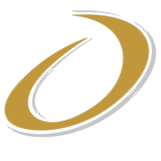 DAZZLE ORNAMENTS PVT. LTD. logo