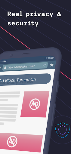VPN  TOR Browser and Ad Block