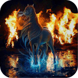 Fantastic horse Live Wallpaper icon