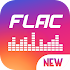 FLAC to MP3 Converter3