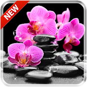 Orchids 3D Free Live Wallpaper