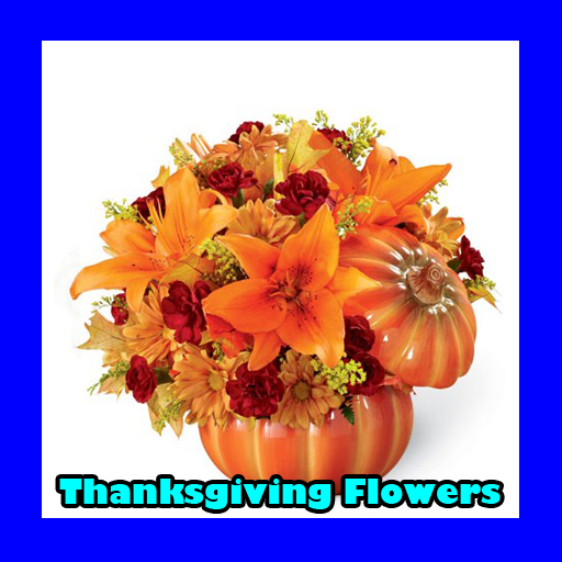 Android application Thanksgiving Flowers screenshort