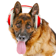 Top 26 Music & Audio Apps Like Barking dog ringtones - Best Alternatives