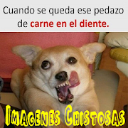 Imágenes Chistosas