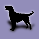 犬図鑑 - Androidアプリ