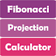 Fibonaci Projection Calculator Laai af op Windows