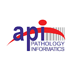 API Mobile App Apk
