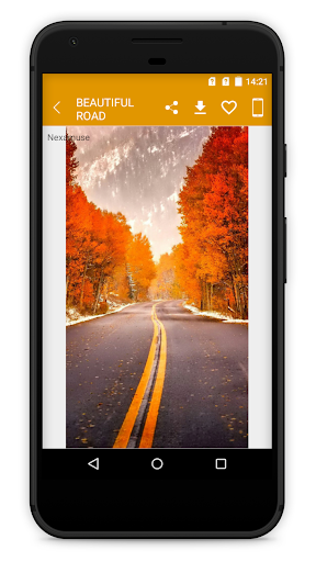 Beautiful Road Wallpapers Screen 3