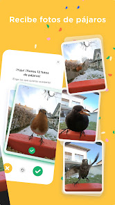 Captura 12 Bird Buddy: Smart Bird Feeder android