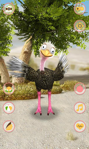 Talking Ostrich Screen 2